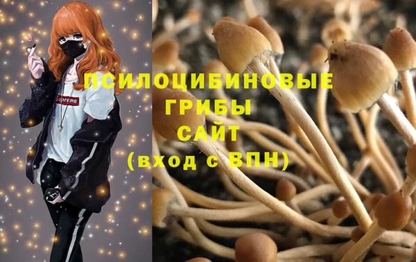гашиш Арсеньев